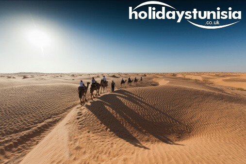 camel riding holidays